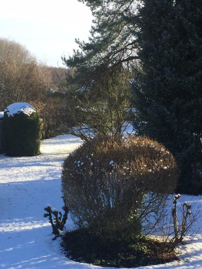 Bed and Breakfast La Ferme Des Ruelles Moigny Esterno foto