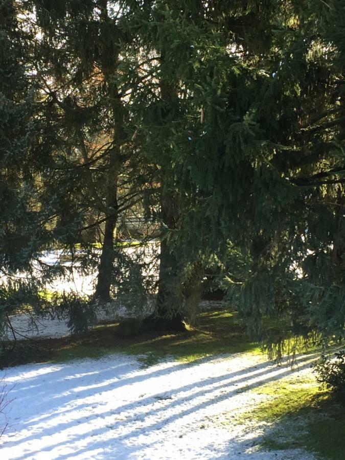 Bed and Breakfast La Ferme Des Ruelles Moigny Esterno foto